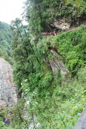 20080630 Photo 1884 1qtlZXe5u9dwgVqVMA5QLVCVhwdytRNiB.JPG