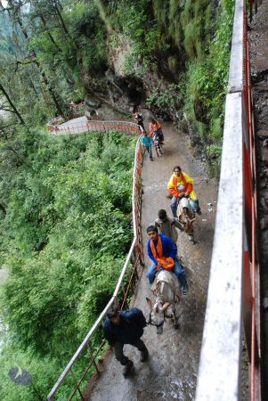 20080630 Photo 2005 1puyqCIdJT1NJ ZZGEXEywiT1YC5pYnJB.JPG