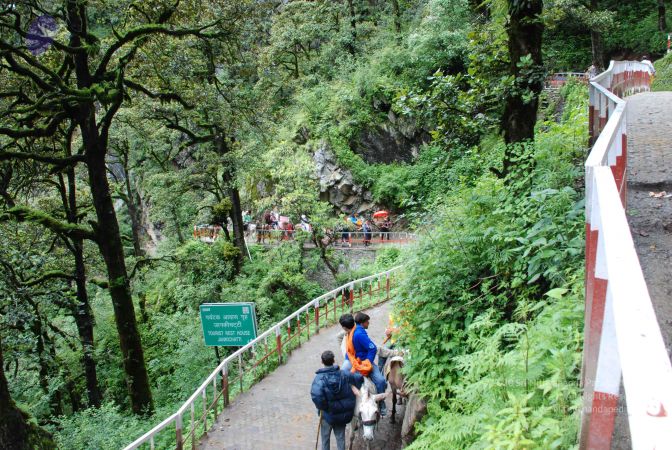 20080630 Photo 2030 1wF0CDC72FWIpXcJJc84n-wIwY1ZcvTmW.JPG