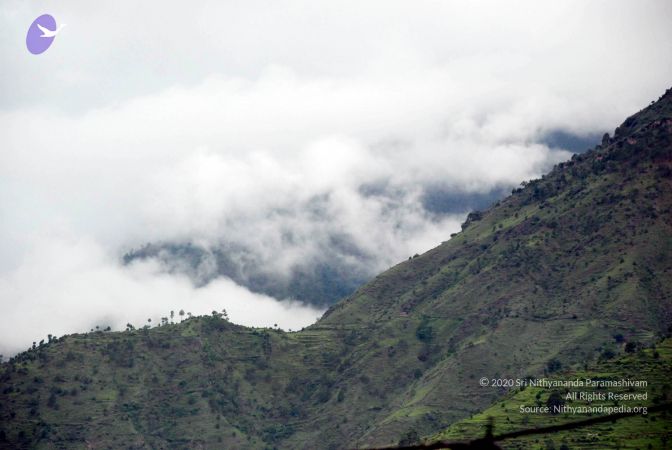 20080701 DSC 0003 CMP WM 0011.jpg