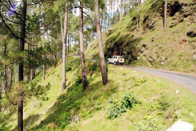 20080701 DSC 0025 CMP WM 0011.jpg