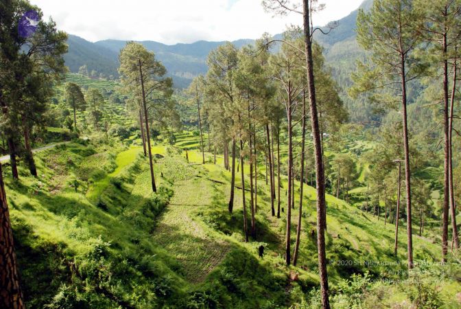 20080701 DSC 0030 CMP WM 0011.jpg