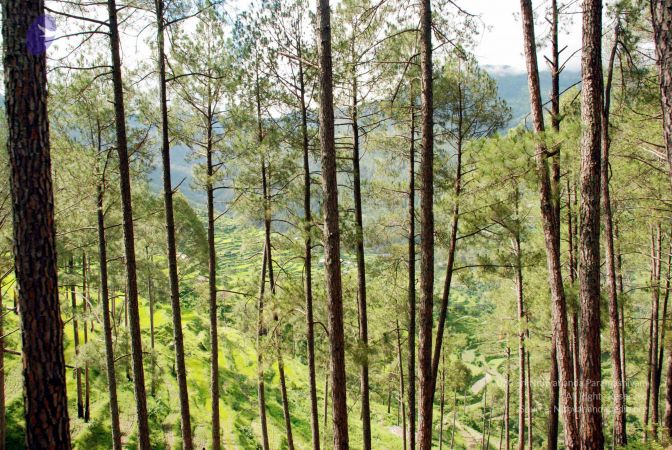 20080701 DSC 0032 CMP WM 0011.jpg