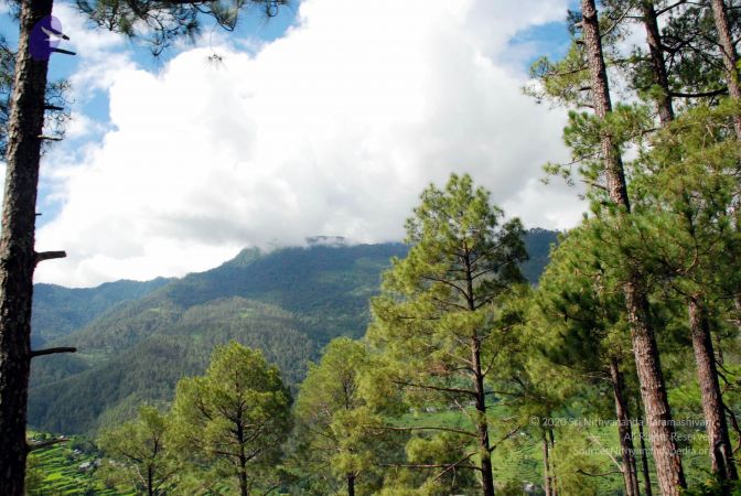 20080701 DSC 0036 CMP WM 0011.jpg