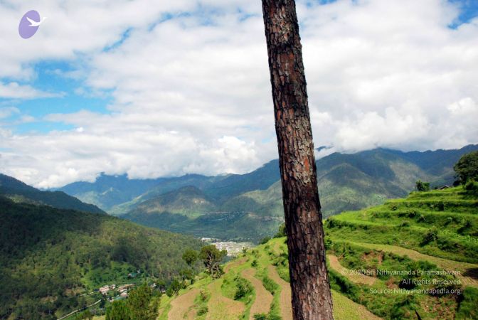 20080701 DSC 0038 CMP WM 0011.jpg