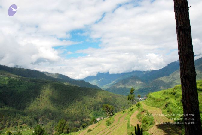 20080701 DSC 0040 CMP WM 0011.jpg