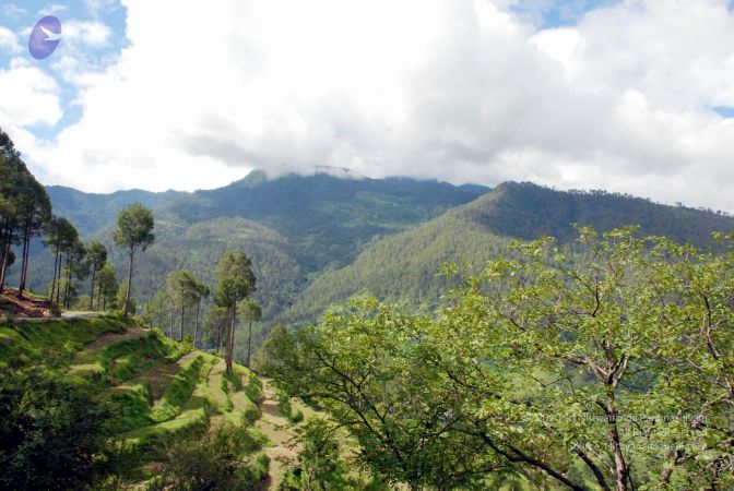 20080701 DSC 0047 CMP WM 0011.jpg