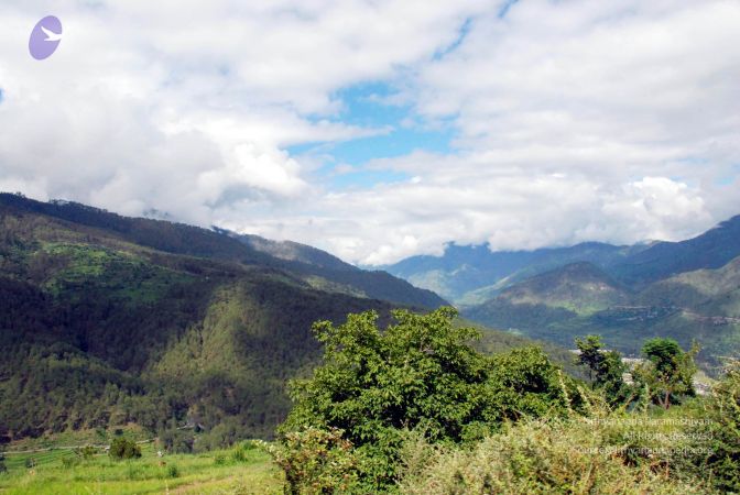 20080701 DSC 0048 CMP WM 0011.jpg