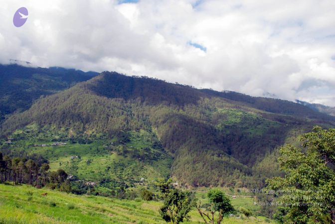 20080701 DSC 0052 CMP WM 0011.jpg