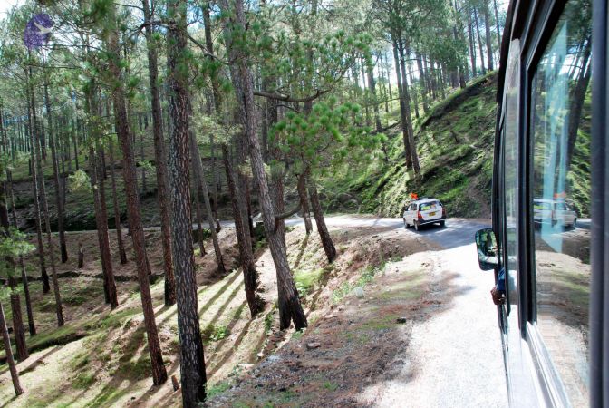 20080701 DSC 0056 CMP WM 0011.jpg