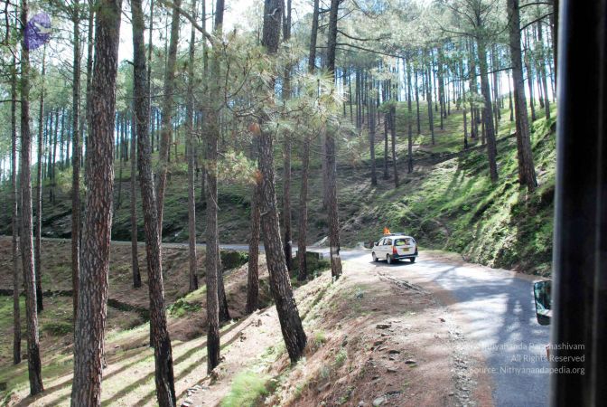 20080701 DSC 0058 CMP WM 0011.jpg