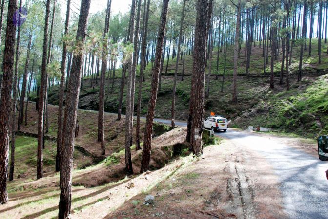 20080701 DSC 0059 CMP WM 0011.jpg