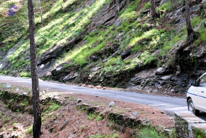 20080701 DSC 0080 CMP WM 0011.jpg