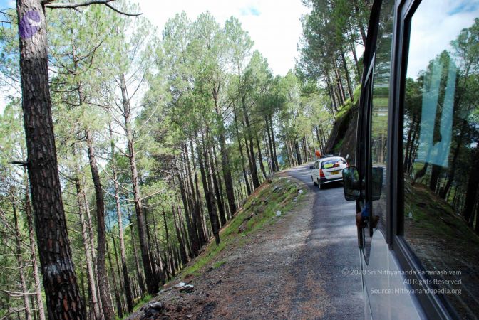 20080701 DSC 0084 CMP WM 0011.jpg