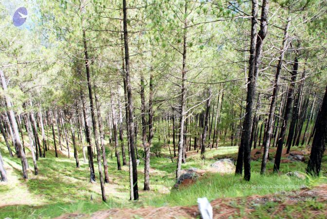 20080701 DSC 0095 CMP WM 0011.jpg