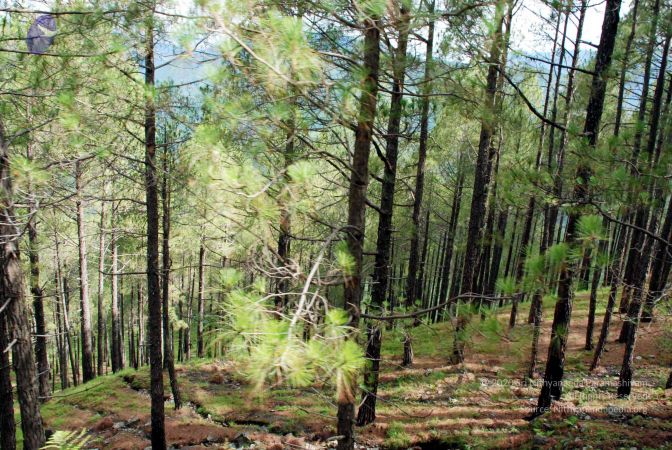 20080701 DSC 0097 CMP WM 0011.jpg