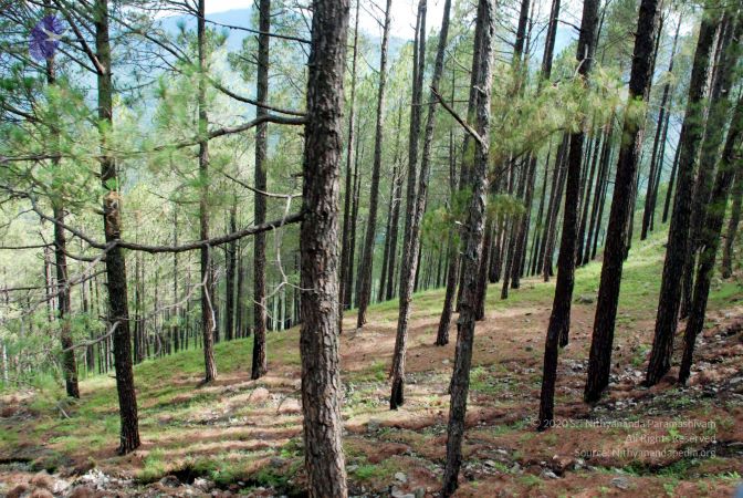 20080701 DSC 0098 CMP WM 0011.jpg