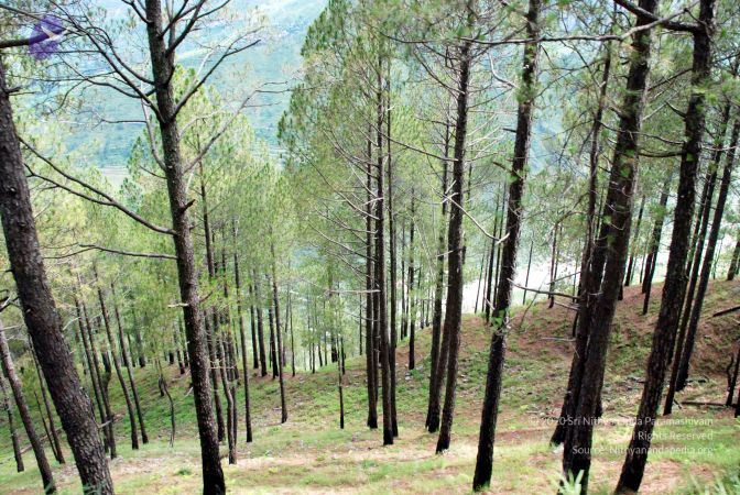 20080701 DSC 0099 CMP WM 0011.jpg