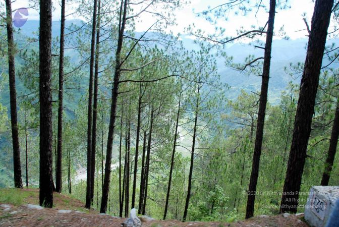 20080701 DSC 0102 CMP WM 0011.jpg