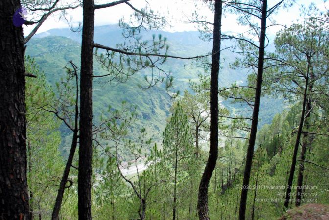 20080701 DSC 0104 CMP WM 0011.jpg