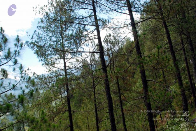 20080701 DSC 0107 CMP WM 0011.jpg