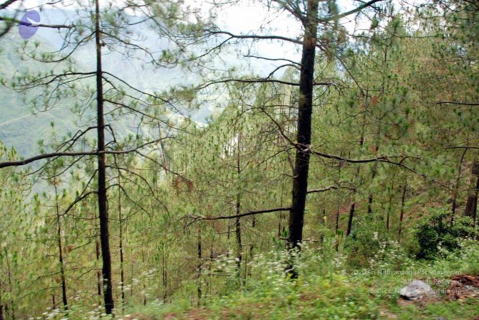 20080701 DSC 0109 CMP WM 0011.jpg