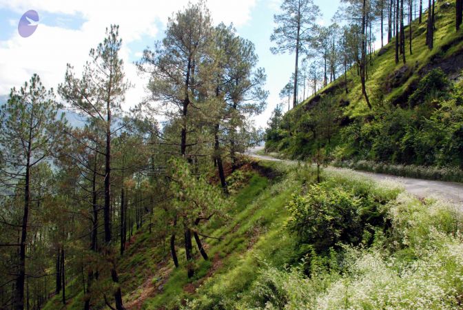 20080701 DSC 0112 CMP WM 0011.jpg