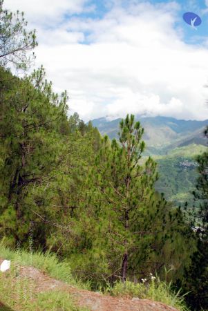 20080701 DSC 0119 CMP WM 0011.jpg