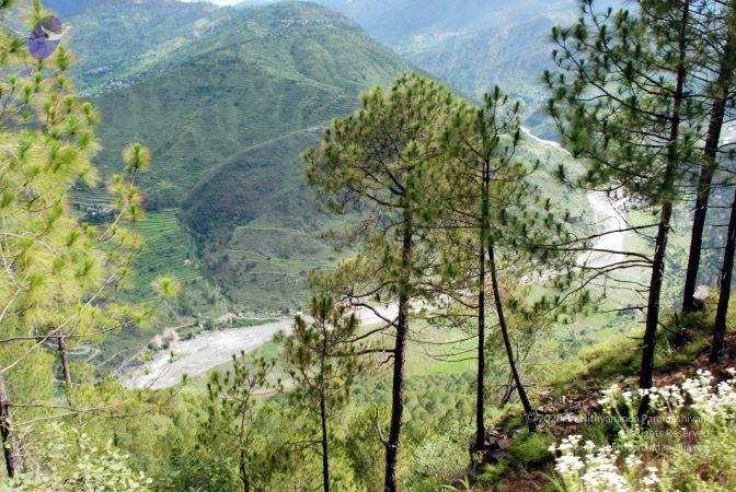 20080701 DSC 0126 CMP WM 0011.jpg