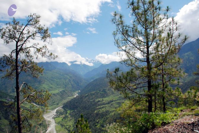 20080701 DSC 0128 CMP WM 0011.jpg