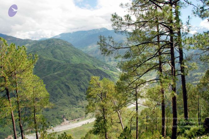 20080701 DSC 0131 CMP WM 0011.jpg