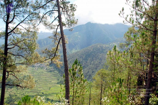 20080701 DSC 0135 CMP WM 0011.jpg