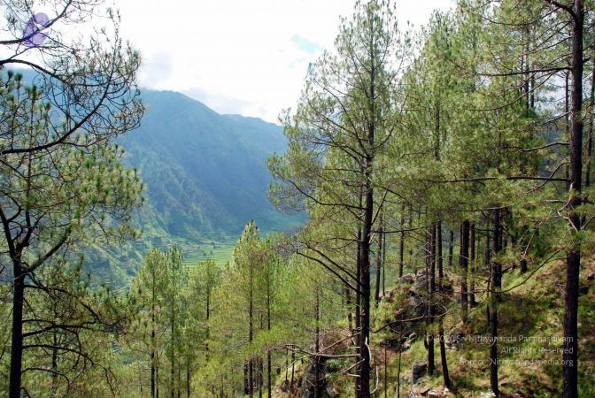 20080701 DSC 0144 CMP WM 0011.jpg