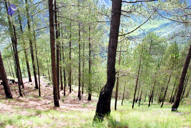 20080701 DSC 0147 CMP WM 0011.jpg