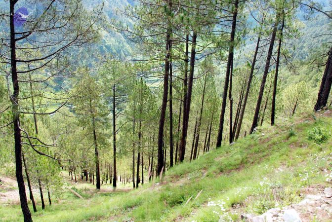 20080701 DSC 0149 CMP WM 0011.jpg