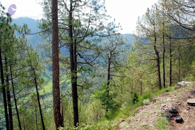 20080701 DSC 0150 CMP WM 0011.jpg