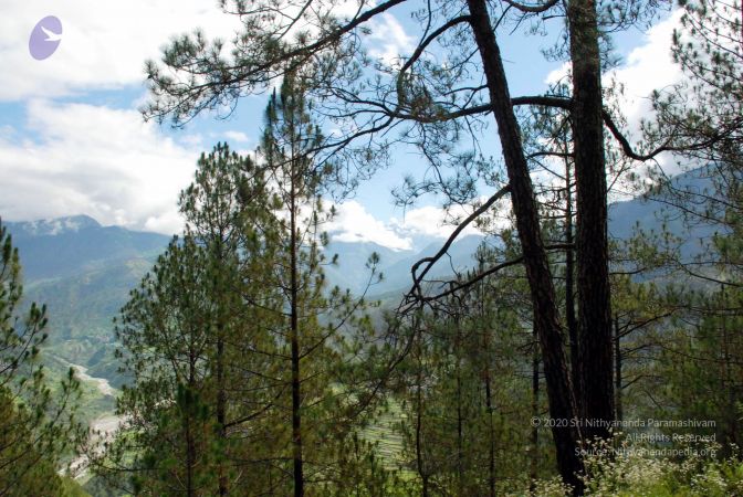 20080701 DSC 0160 CMP WM 0011.jpg