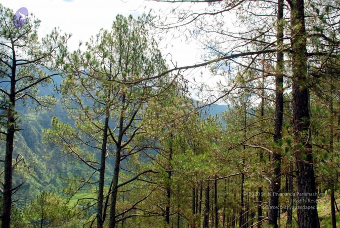 20080701 DSC 0165 CMP WM 0011.jpg