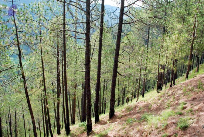 20080701 DSC 0173 CMP WM 0011.jpg