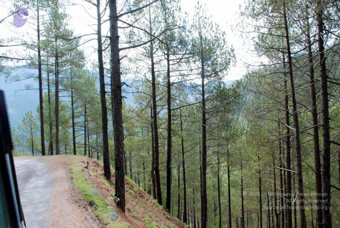 20080701 DSC 0176 CMP WM 0011.jpg