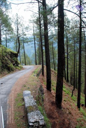 20080701 DSC 0177 CMP WM 0011.jpg