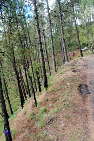 20080701 DSC 0178 CMP WM 0011.jpg