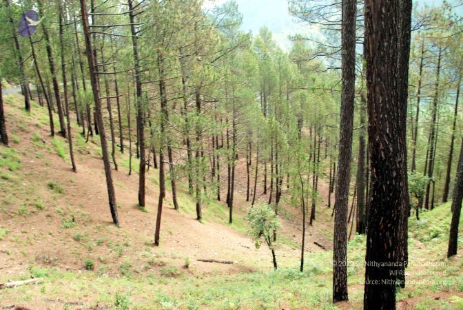 20080701 DSC 0185 CMP WM 0011.jpg