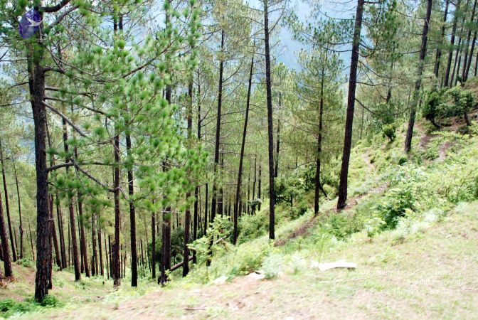 20080701 DSC 0192 CMP WM 0011.jpg