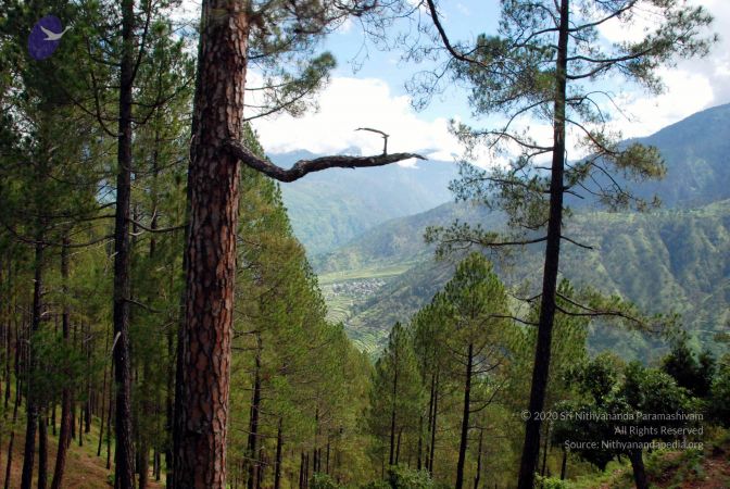 20080701 DSC 0195 CMP WM 0011.jpg