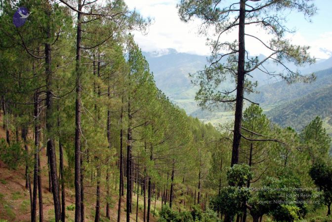 20080701 DSC 0196 CMP WM 0011.jpg