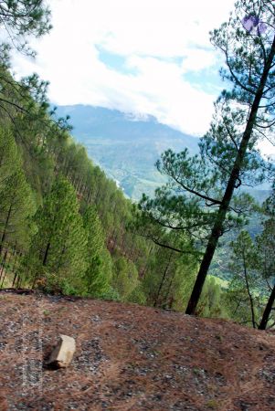 20080701 DSC 0198 CMP WM 0011.jpg