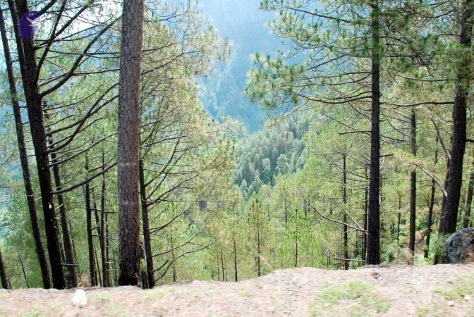 20080701 DSC 0199 CMP WM 0011.jpg