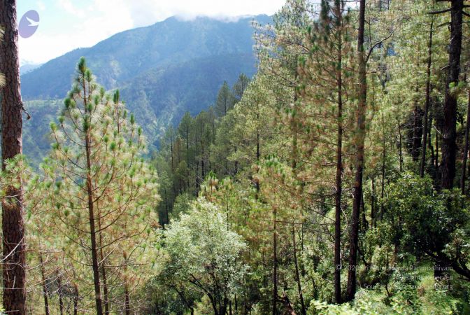 20080701 DSC 0203 CMP WM 0011.jpg