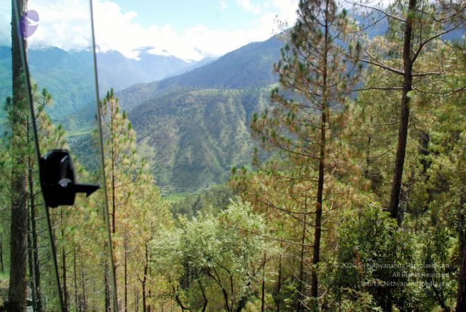 20080701 DSC 0204 CMP WM 0011.jpg